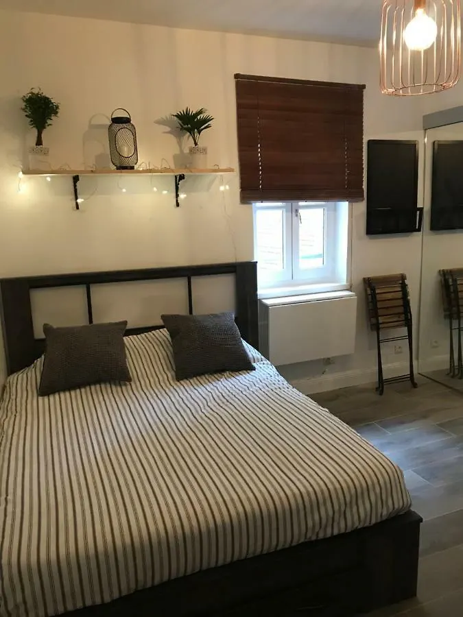 Studio Au Coeur De Lyon location